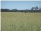 276 Case Road, Chinchilla QLD 4413