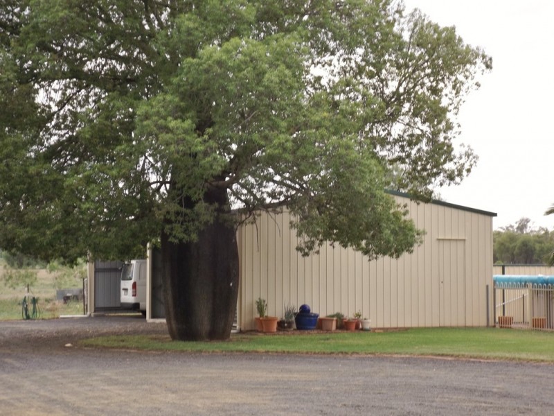 42 Edwardes Street, Roma QLD 4455