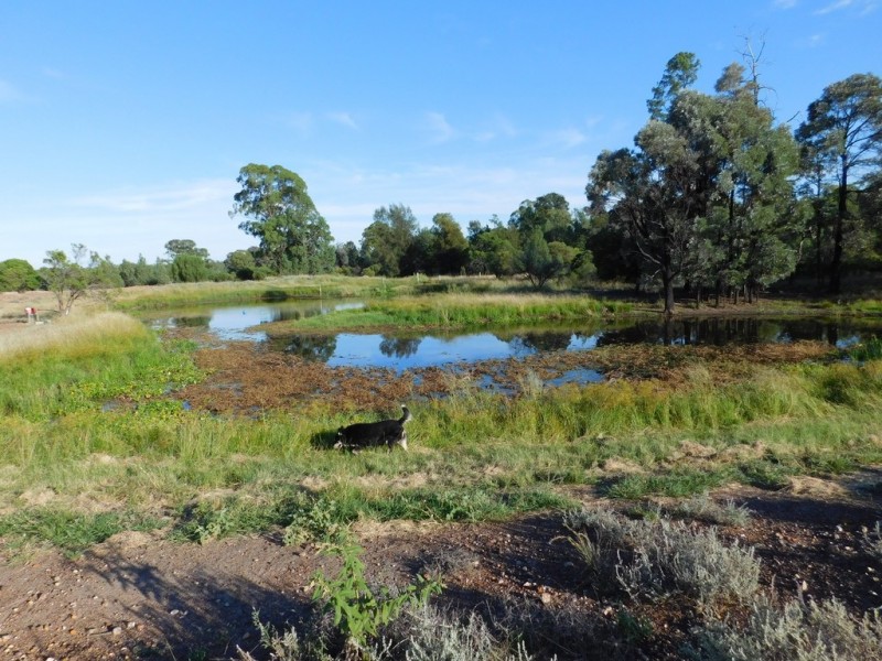 113 Gazzard Road, Tara QLD 4421