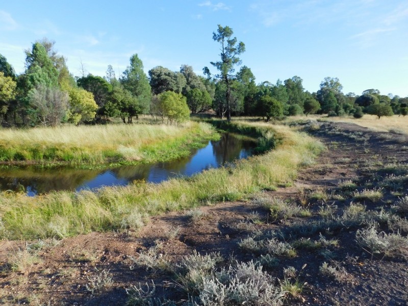 113 Gazzard Road, Tara QLD 4421