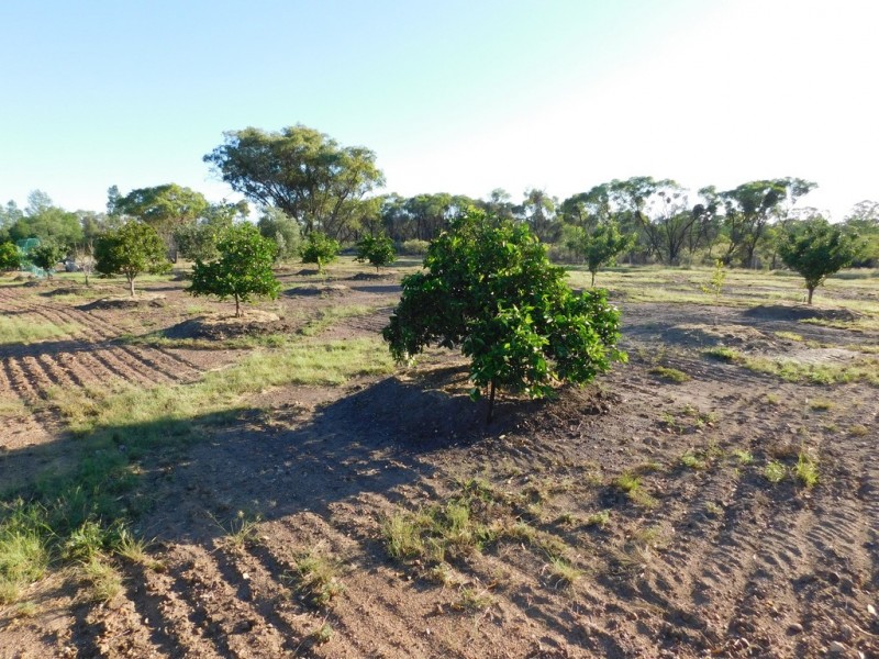 113 Gazzard Road, Tara QLD 4421