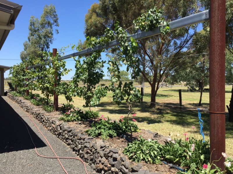 98 Owen Street, Dalby QLD 4405