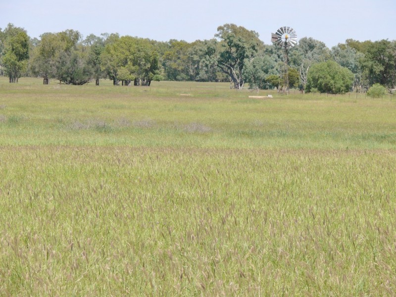 0 Six Mile Road, Roma QLD 4455