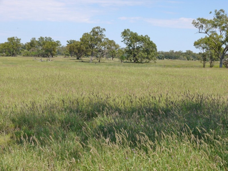 0 Six Mile Road, Roma QLD 4455