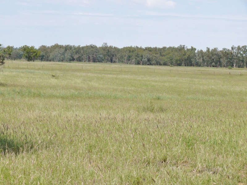 0 Six Mile Road, Roma QLD 4455