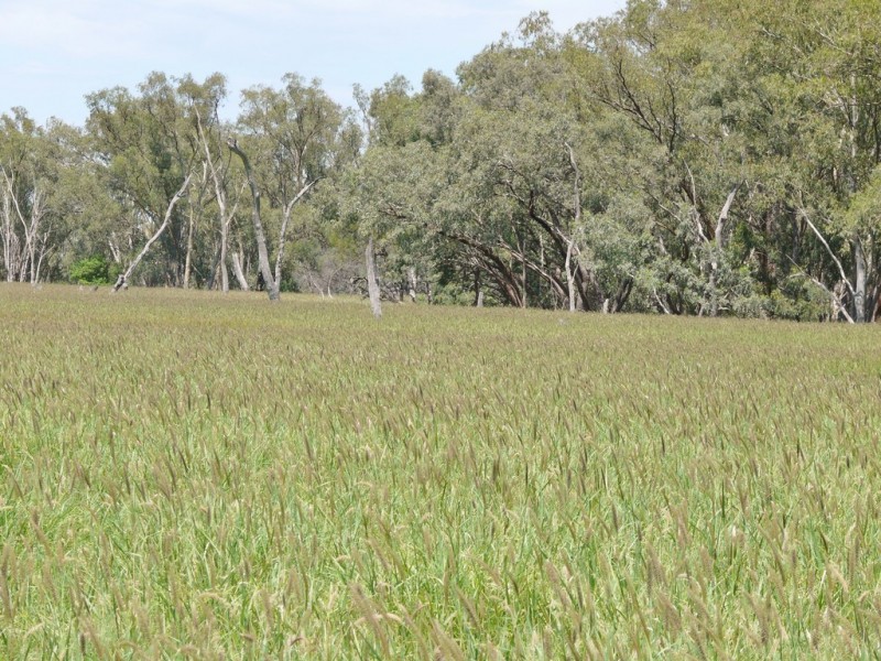 0 Six Mile Road, Roma QLD 4455