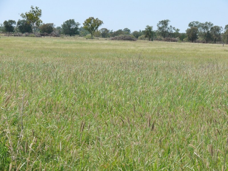 0 Six Mile Road, Roma QLD 4455