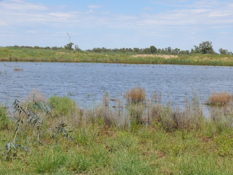 0 Six Mile Road, Roma QLD 4455