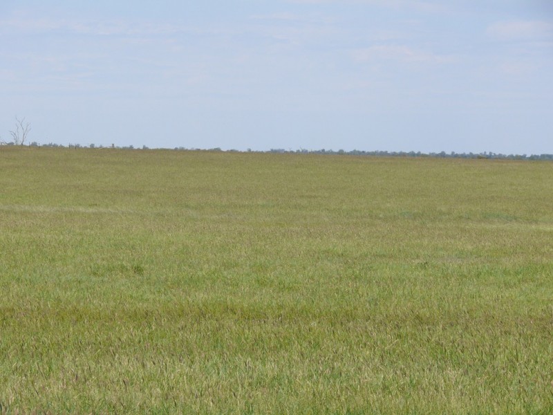 0 Six Mile Road, Roma QLD 4455