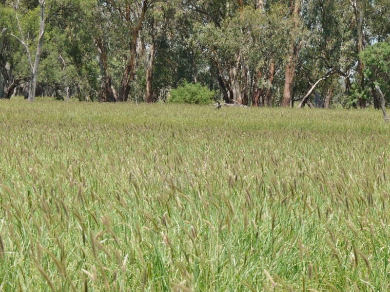 0 Six Mile Road, Roma QLD 4455