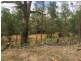 Coongoola QLD 4490