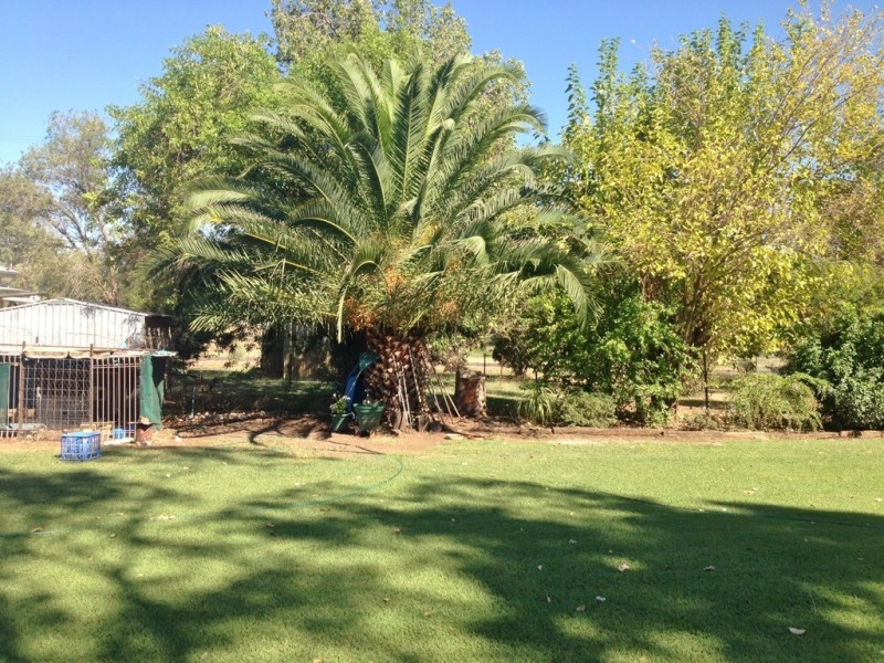 43 Robert Street, Surat QLD 4417