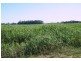 “Sutton Grange”, Meandarra QLD 4422