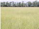 “Sutton Grange”, Meandarra QLD 4422