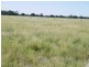 “Sutton Grange”, Meandarra QLD 4422