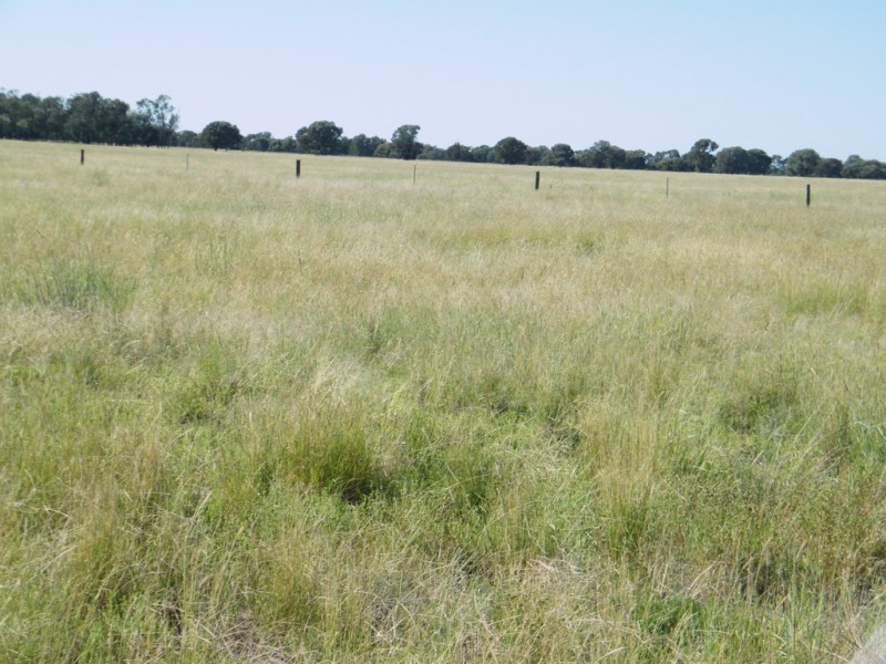 “Sutton Grange”, Meandarra QLD 4422