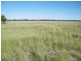 “Sutton Grange”, Meandarra QLD 4422