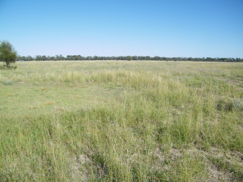 “Sutton Grange”, Meandarra QLD 4422