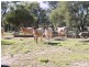“Sutton Grange”, Meandarra QLD 4422