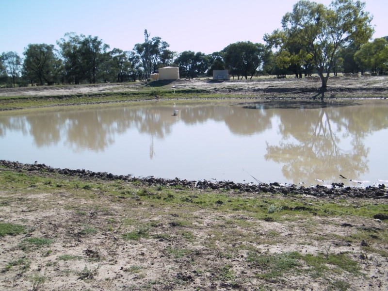 “Sutton Grange”, Meandarra QLD 4422
