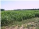 “Sutton Grange”, Meandarra QLD 4422