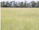 “Sutton Grange”, Meandarra QLD 4422