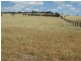 345 Cracow Road, Taroom QLD 4420