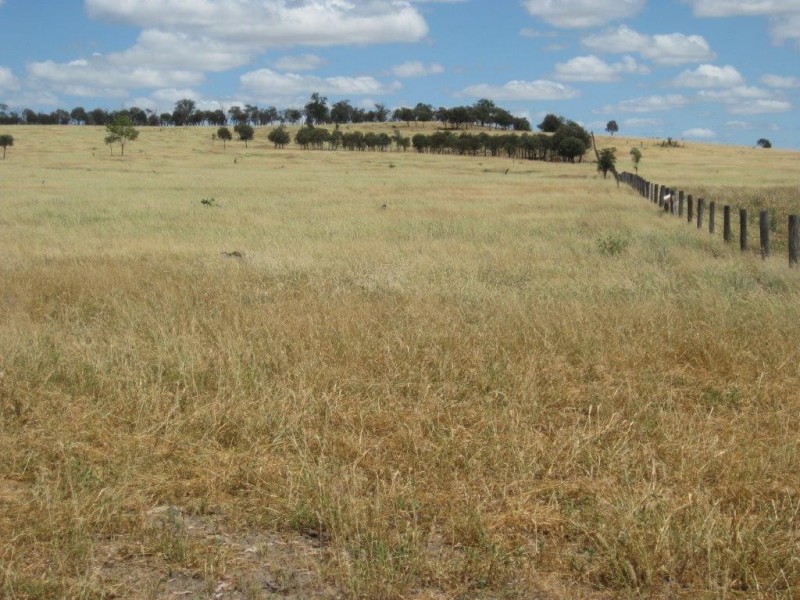 345 Cracow Road, Taroom QLD 4420