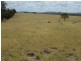 345 Cracow Road, Taroom QLD 4420