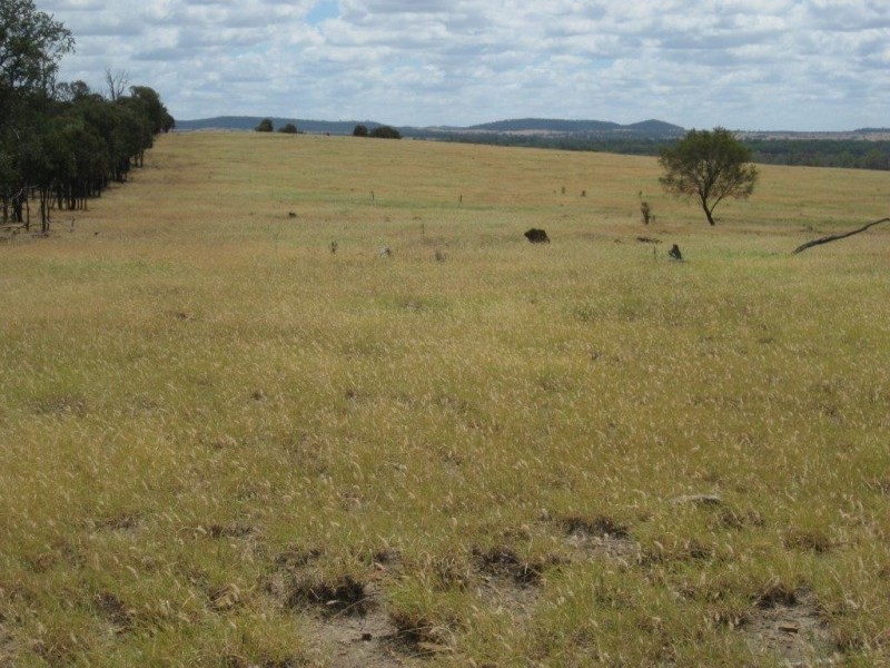345 Cracow Road, Taroom QLD 4420
