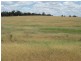345 Cracow Road, Taroom QLD 4420