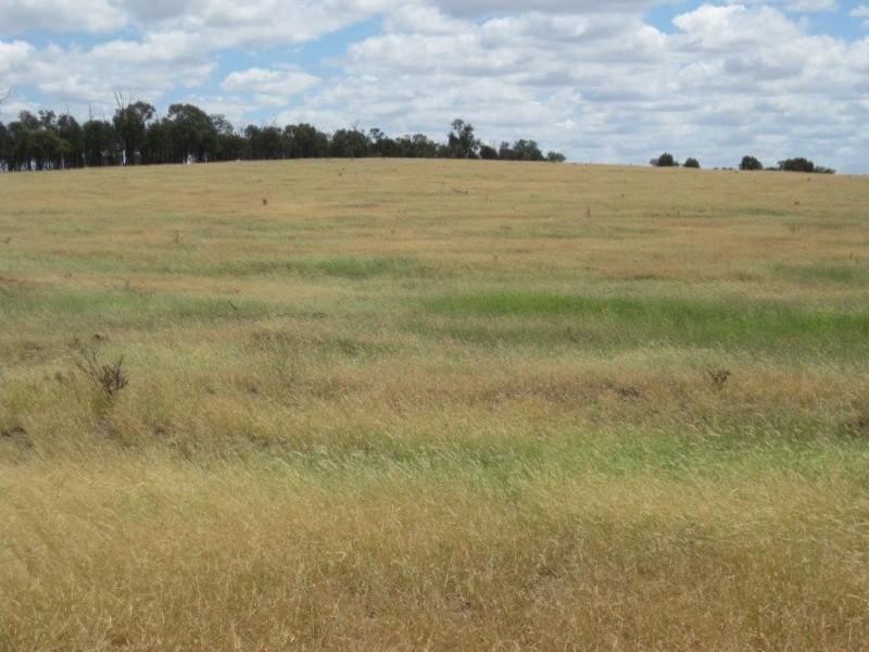 345 Cracow Road, Taroom QLD 4420