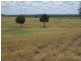 345 Cracow Road, Taroom QLD 4420
