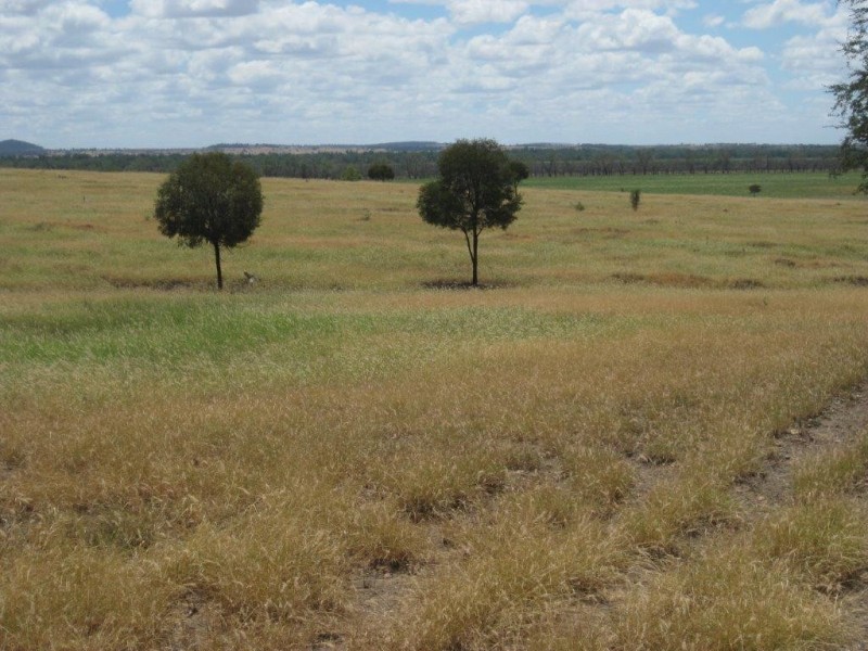 345 Cracow Road, Taroom QLD 4420