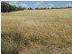 345 Cracow Road, Taroom QLD 4420