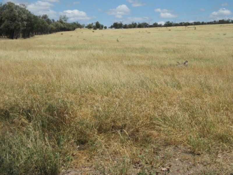 345 Cracow Road, Taroom QLD 4420