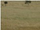 345 Cracow Road, Taroom QLD 4420