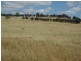 345 Cracow Road, Taroom QLD 4420
