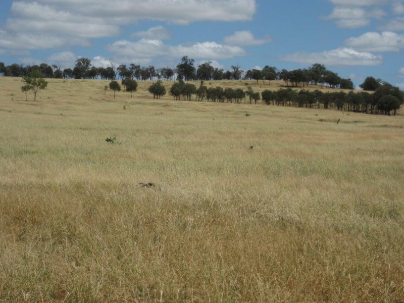 345 Cracow Road, Taroom QLD 4420