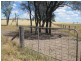 345 Cracow Road, Taroom QLD 4420