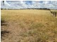 345 Cracow Road, Taroom QLD 4420