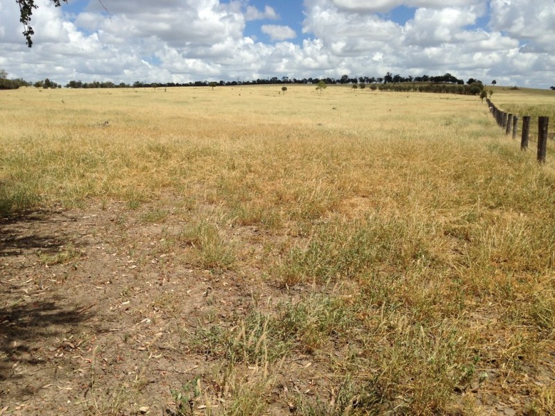 345 Cracow Road, Taroom QLD 4420