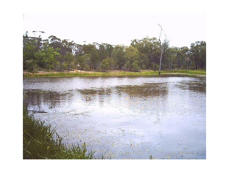 309 Gazzard Road, Tara QLD 4421