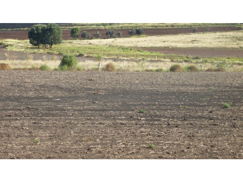 3278 Oakey Cooyar Road, Kulpi QLD 4352