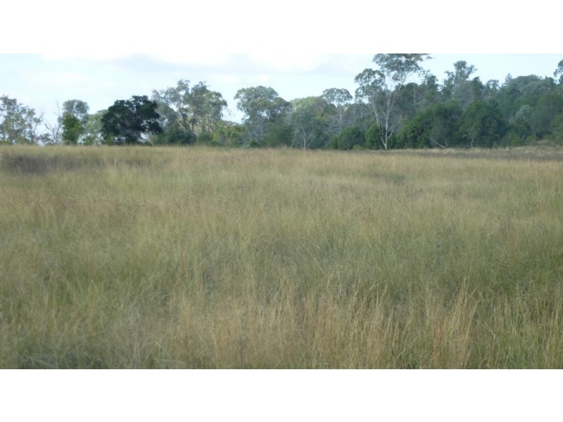 3278 Oakey Cooyar Road, Kulpi QLD 4352