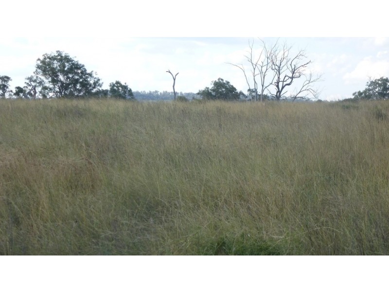 3278 Oakey Cooyar Road, Kulpi QLD 4352