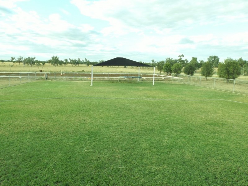 31 Henry Street, Hodgson QLD 4455