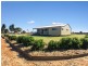 80 Sandalwood Avenue South, Dalby QLD 4405