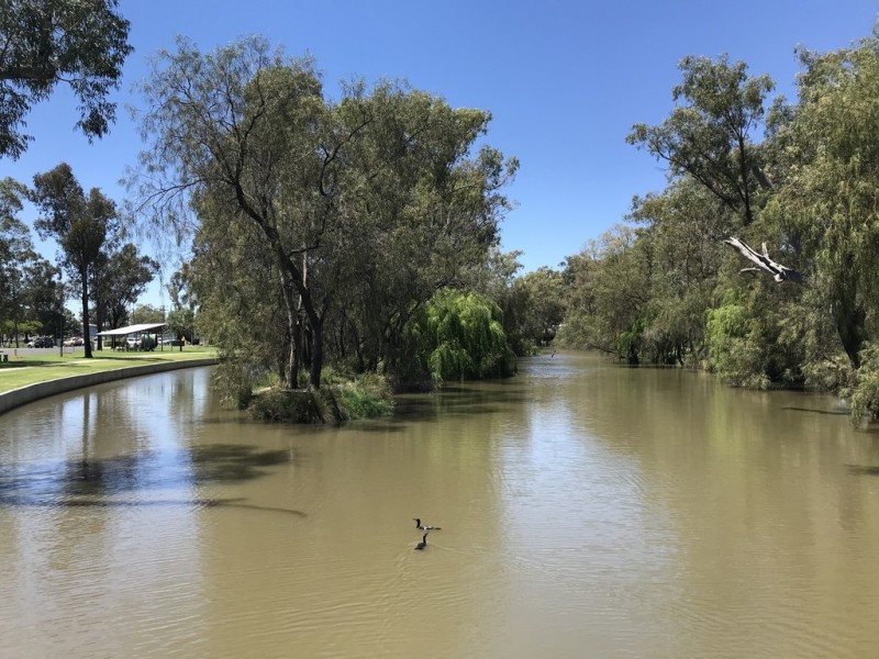 29 Henry Lawson Place, Dalby QLD 4405