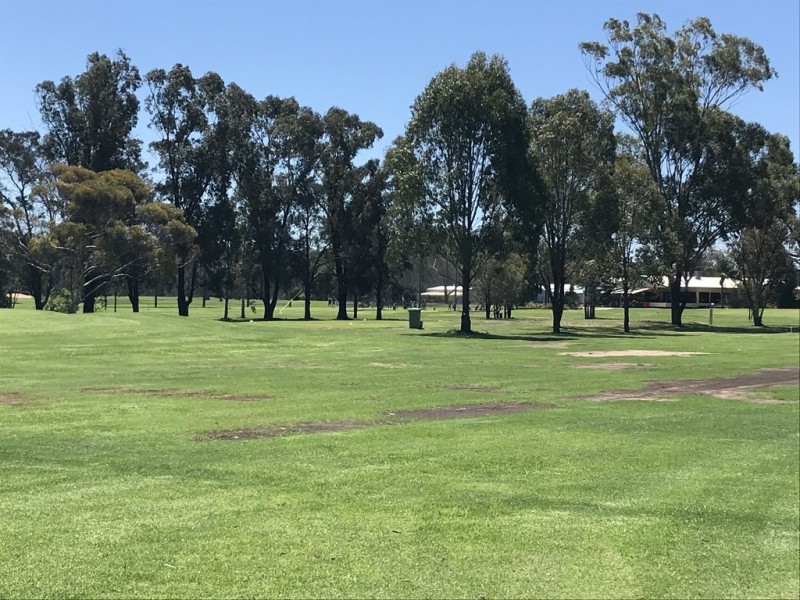 29 Henry Lawson Place, Dalby QLD 4405